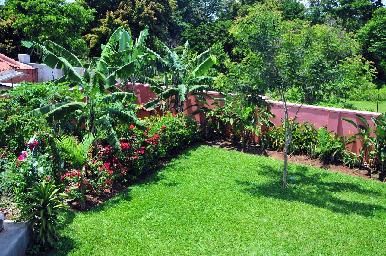 Victoria Lake View Guesthouse & Safaris Entebbe Extérieur photo