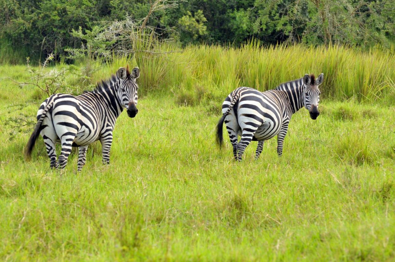 Victoria Lake View Guesthouse & Safaris Entebbe Extérieur photo